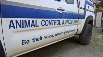 An animal control vehicle outside Gastineau Humane Society in Juneau on Nov. 19, 2016. The city contracts the humane society for animal control services. (Photo by Jeremy Hsieh/KTOO)