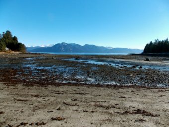 The tide is out at the borough’s Sandy Beach Park. Native petroglyphs, fish traps and the borough property to be sold in January are near the point at the left of the photo. (KFSK file photo)