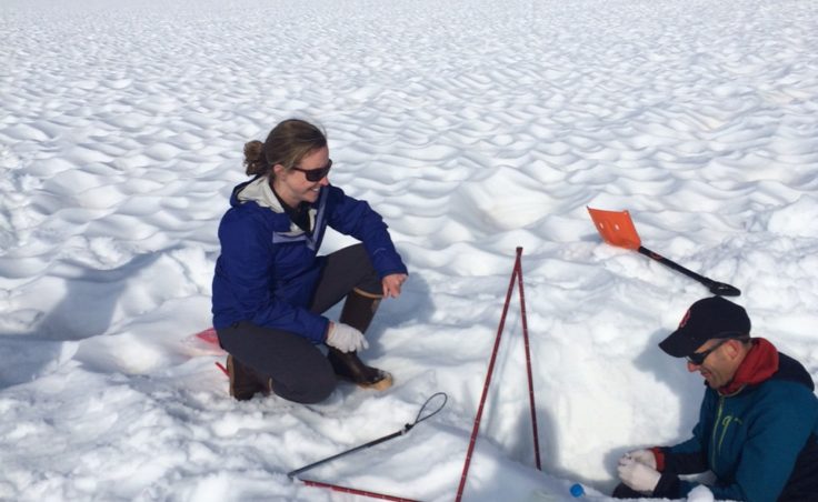 Researchers dug snow pits to sample black carbon that had accumulated with rain and snowfall on the Juneau Icefield over the previous few months.