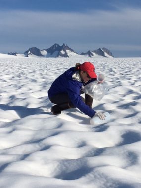 Surface samples were collected from the Juneau Icefield in July 2016 to determine how much black carbon or soot had been deposited without any precipitation.
