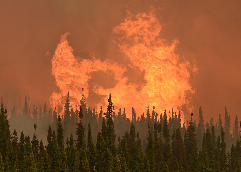 Flames from the Funny River Wildfire flare up on May 24, 2016 in Soldotna, Alaska. The wildfire started unusually early in the season and burned nearly 200,000 acres on the Kenai Peninsula. (Photo by Rashah McChesney/Peninsula Clarion) RELEASED FOR ALASKA'S ENERGY DESK USE