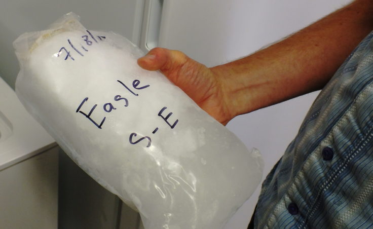 This snow and ice sample was taken from Eagle Glacier in July 2016.
