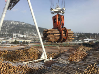 A giant port crane moves tree-sized timber at one of two mills owned by Vaagen Brothers Lumber Inc. in Pend Oreille County, Washington. (Photo by Emily Schwing/Northwest News Network)
