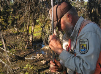 Retired U.S. Fish and Wildlife researcher Ed Berg probes for permafrost on the Kenai Peninsula. (Photo by U.S. Geological Survey)