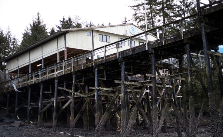 The Auke Bay Marine Station on Tuesday, Jan. 31, 2017. Juneau Docks and Harbors is interested in the property for a potential expansion of Statter Harbor. (Photo Tripp J Crouse/KTOO)