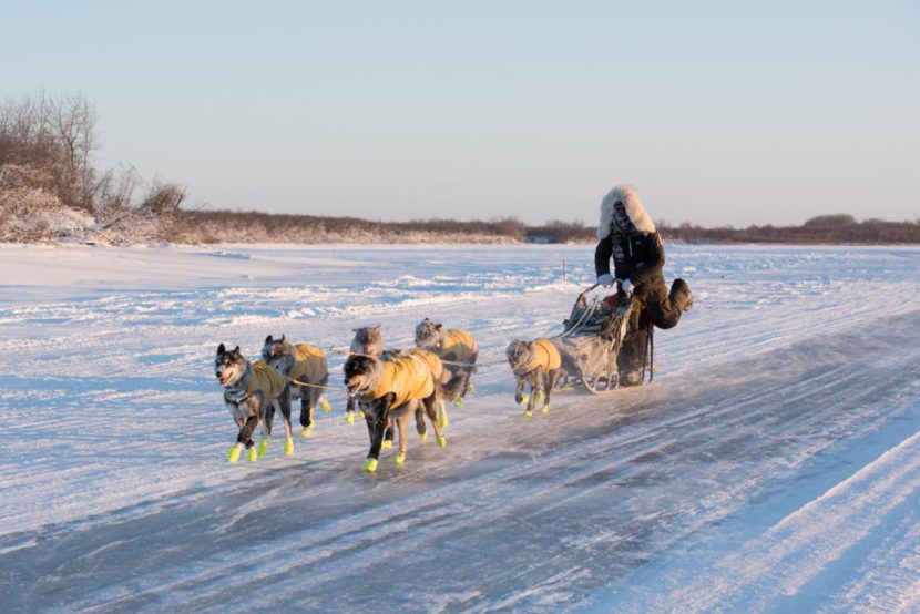 Brent Sass placed second for the second year in a row in the Kuskokwim 300.