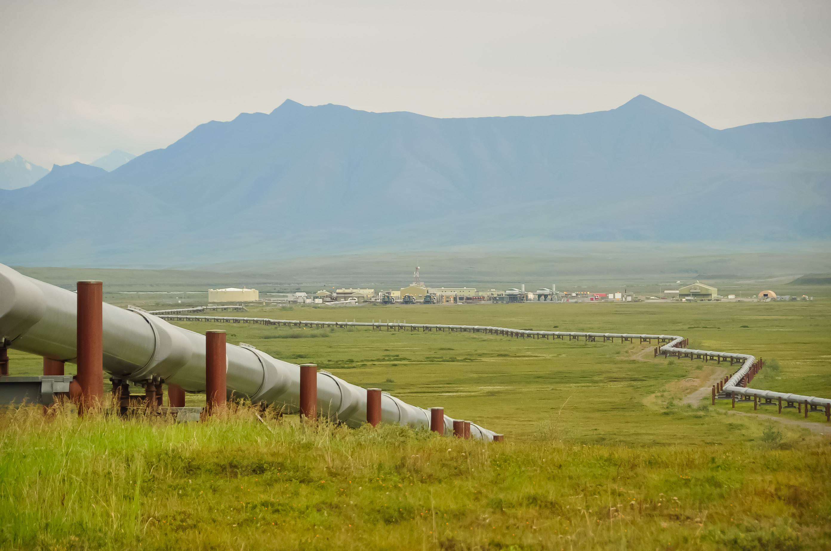 Alaskan Pipeline Condom