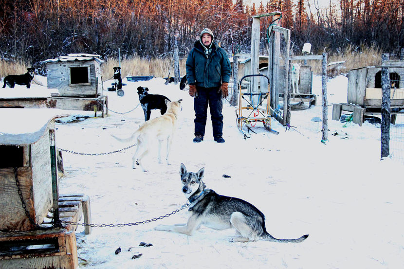 John Hanson Jr. is one of four mushers in New Stuyahok. (Photo by Avery Lill/acKDLG)