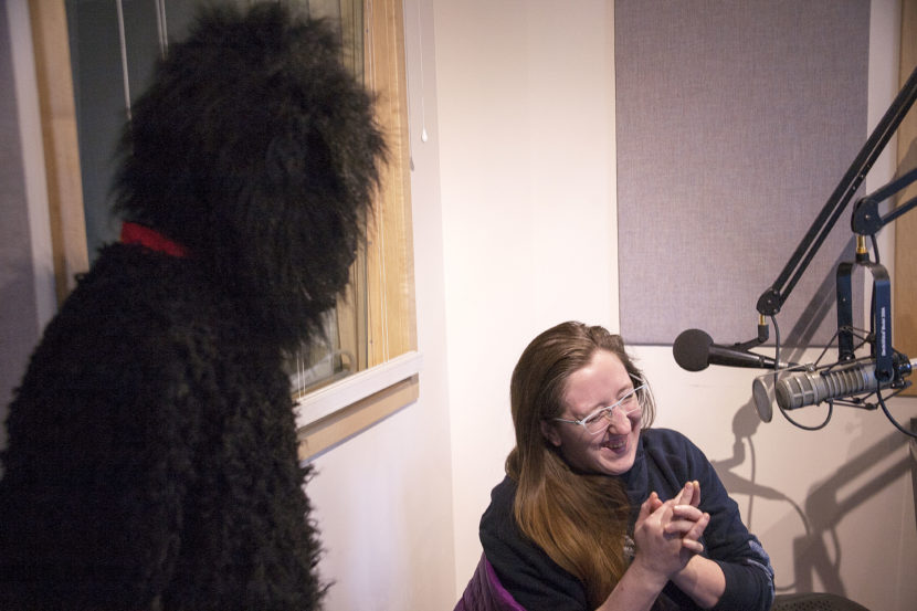 Joe Gorilla, a one-time candidate for Juneau mayor, makes a surprise appearance Friday, Feb. 3, 2017, for Erin Heist of Juneau, who asked Curious Juneau if the rumors of a simian mayoral candidate were true. Joe Gorilla is the sometimes-identity of KTOO funnyman Jeff Brown. (Photo by Tripp J Crouse/KTOO)