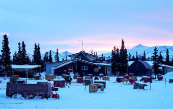 The view of the dog lot at Husky Homestead outside Denali on January 26, 2017 (Photo by Zachariah Hughes/Alaska Public Media)