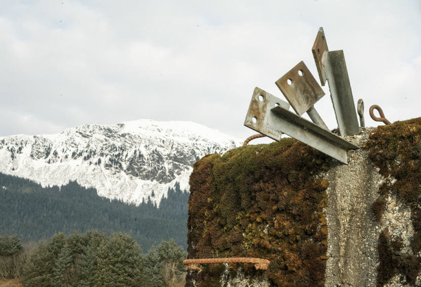 Moss grows over one of the concrete blocks in Lemon Creek. (Photo by Tripp J Crouse/KTOO)