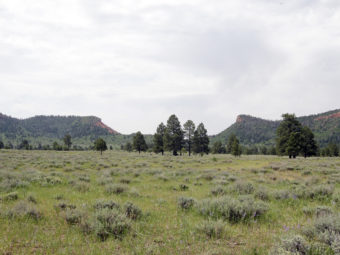 The Bears Ears buttes near Blanding, Utah, have been named a national monument by President Obama.