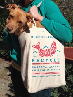 Cordova's plastic bag ordinance is helping displace over a million plastic bags a year. (Photo courtosy of the Eyak Preservation Council)