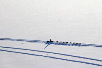 A team travels on the Iditarod trail to Tanana. (Photo by Ben Matheson/KNOM)