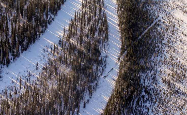 A team travels on the Iditarod trail to Manley Hot Springs. (Photo by Ben Matheson/KNOM)
