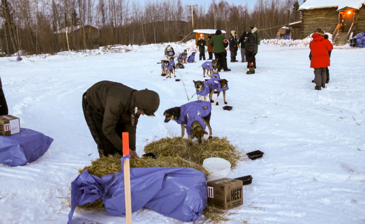Nicolas Petit was the first musher to reach the Yukon River. (Photo by Ben Matheson/KNOM)