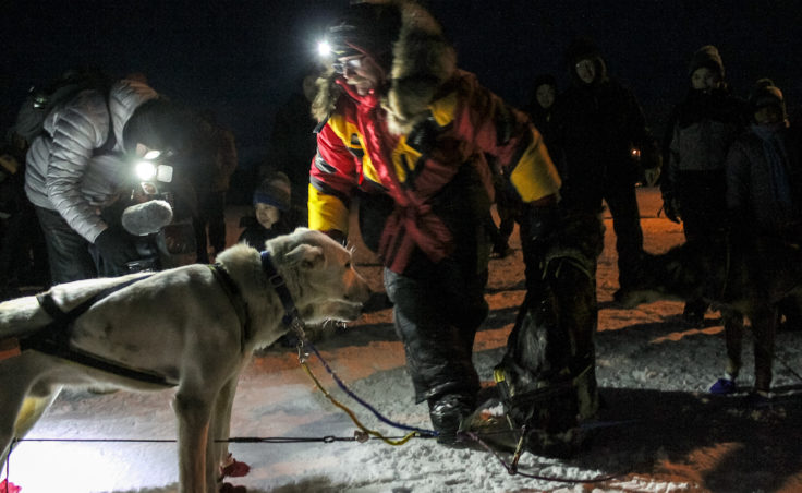 Mitch Seavey was the first musher to reach Huslia on Thursday night, March 10, 2017, during the Iditarod. (Photo by Ben Matheson/KNOM)