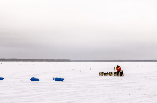 Mitch Seavey travels on the Yukon River toward Kaltag after leaving Nulato.