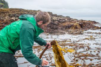 Photo courtesy of Matt Kern and Lia Heifetz