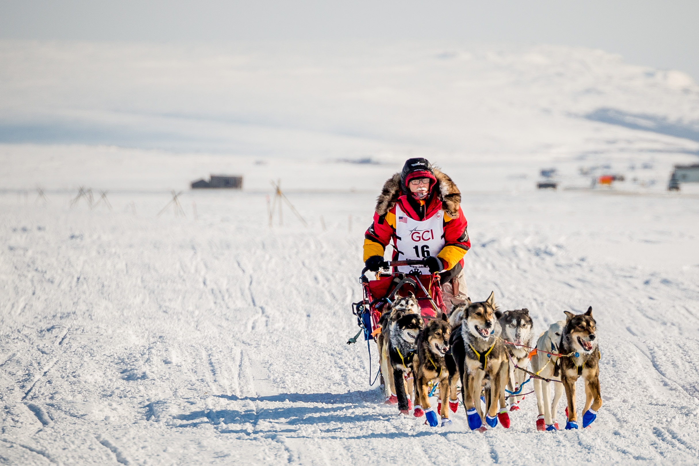 Mitch Seavey mushes on the outskirts of Nome on Tuesday afternoon. The elder Seavey finished the 2017 Iditarod in record time Tuesday, March 14, 2017. (Photo by David Dodman/ KNOM)