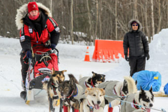 Aliy Zirkle coming into the checkpoint in Galena on Thursday. Zirkle has had to upend her race plans and declare a 24-hour rest in Galena because of sick dogs. (Photo by Zachariah Hughes, Alaska Public Media)