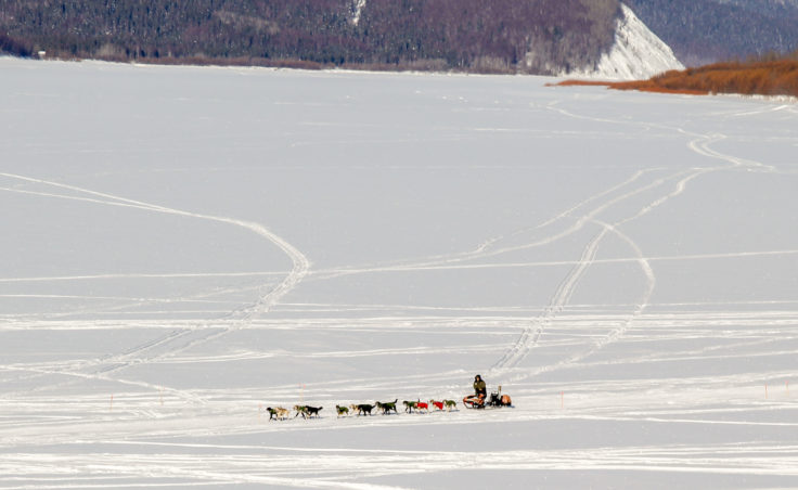 Jeff King mushes into Kaltag in the Iditarod. (Photo by Zachariah Hughes/Alaska Public Media)