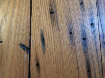 A close up of the American chestnut and its imperfections. (Photo by Scott Burton/KTOO)