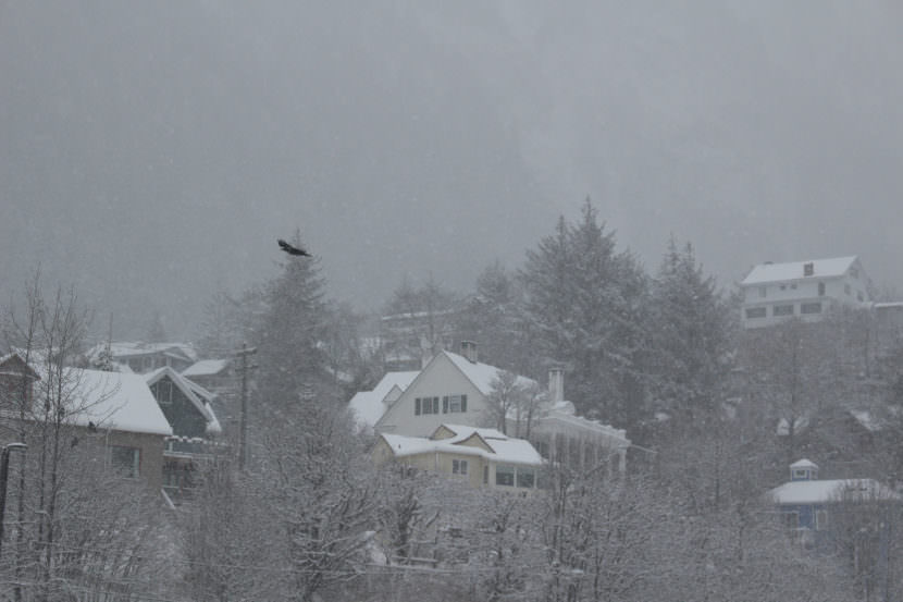 Snow day (Photo by Elizabeth Jenkins/Alaska's Energy Desk)