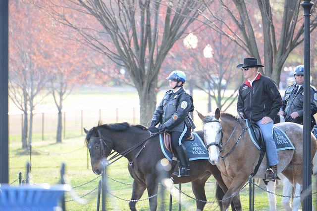Interior Secretary Ryan Zinke rode a National Park Service horse named Tonto about a mile, posing along the National Mall for photos. The Park Service, the Mall and the horse are within Interior’s domain. (Interior Department photo)