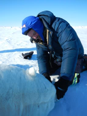 Dr. Riley Wilson, veterinarian with the Alaska Zoo and the Pet Stop, examines a large polar bear.
