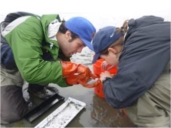 Doug Duncan and Emily Whitney work at one of the sampling sites. Photo courtesty of Emily Whitney. (Click image for larger version, 2.3 MB.)