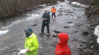About 20 attendees from Hoonah, Sitka, Skagway and Wrangell came to Klukwan to practice stream monitoring. (Photo courtesy Jessica Kayser Forster)