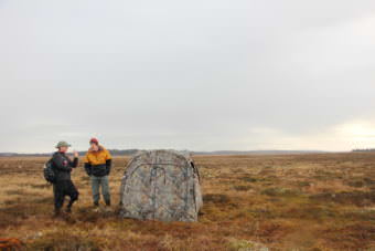 Fish and Game wildlife biologist Nelly Nesvacil and Oregon State University assistant professor Don Lyons set up a camouflage tent near the water in Dillingham. The duo are trying to determine an accurate Aleutian tern count. (Photo by KDLG)