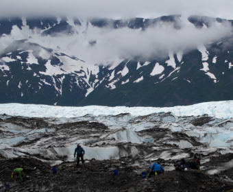 Members of the 11-person crew excavate 40-by-40 meter squares along a grid on the Colony Glacier in June of 2016. Media were kept at a distance from the perimeter, to keep from inadvertently photographing remains. (Photo by Zachariah Hughes/Alaska Public Media)