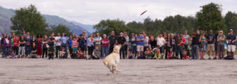 Lota lines up his jump to catch a frisbee during the Super Dog Frisbee Contest in Douglas on July 4, 2016.