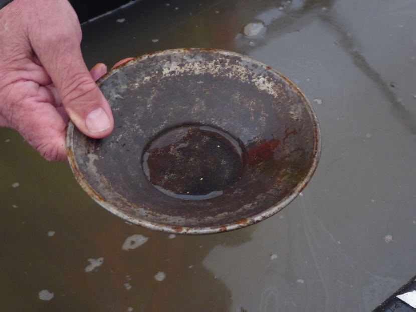 Jerry Harmon holds a bowl he used to pan for a few small gold pieces visible in the center.