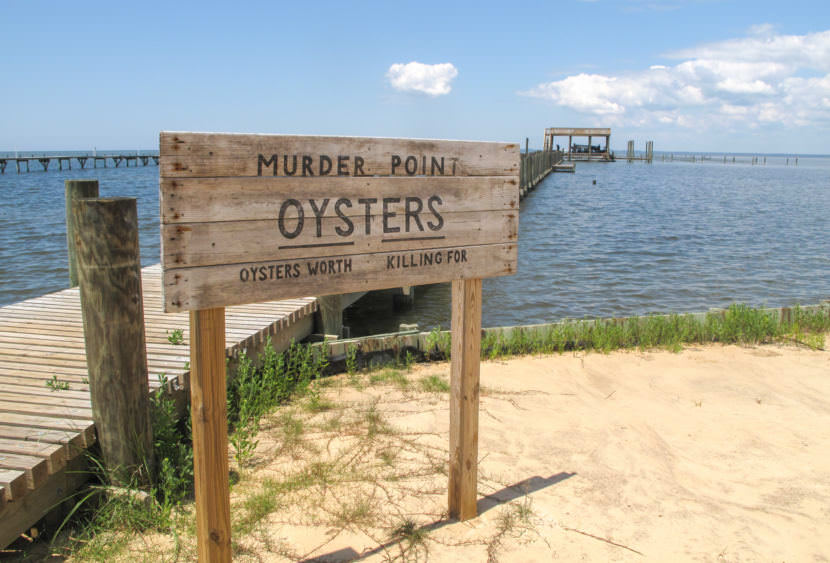 The Zirlott family's oyster farm is at the end of a long pier in Sandy Bay. Legend has it that the name "Murder Point" comes from a deadly dispute over an oyster lease at this site back in 1929. Debbie Elliott/NPR