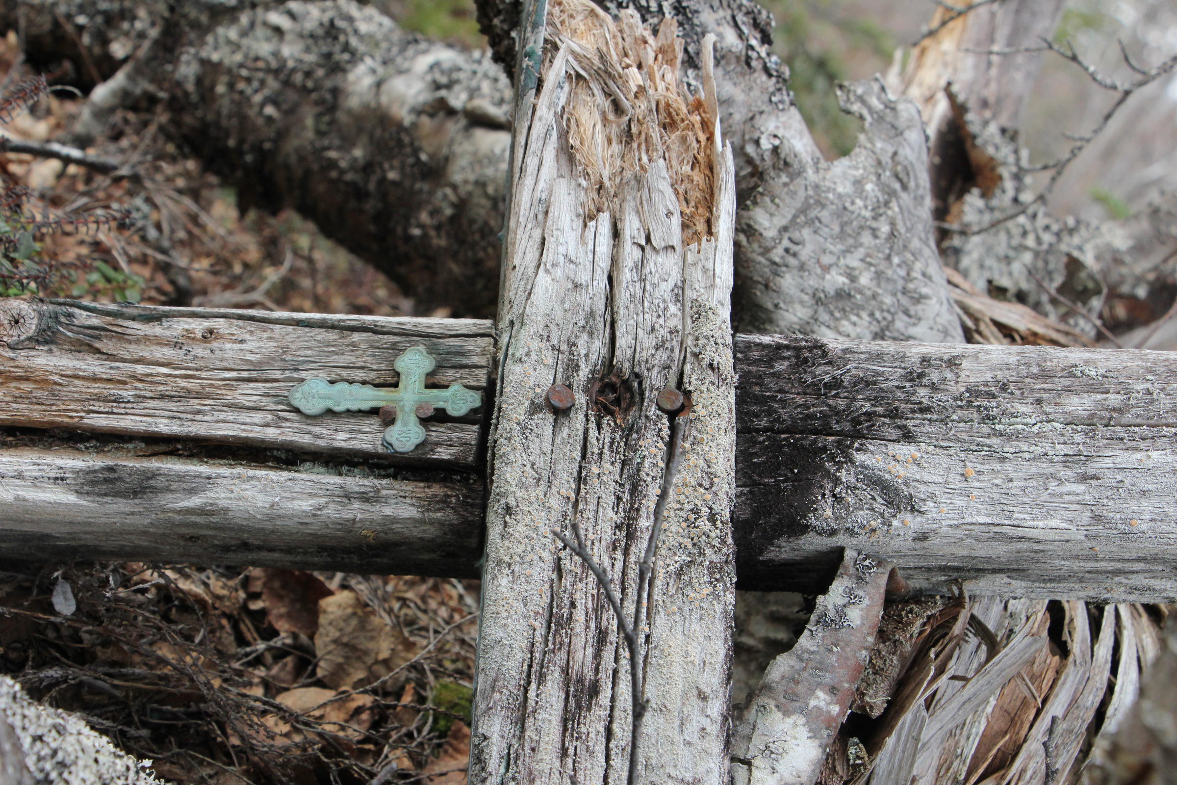 A cross that marked a grave at an abandoned Kvichak settlement. (Photo by Avery Lill/KDLG)