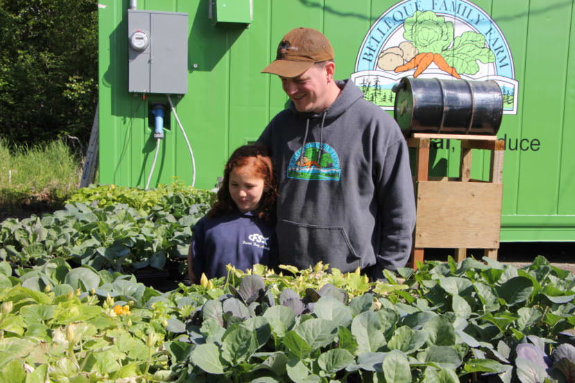 Dillingham family farm pivots, selling produce to subscribers instead