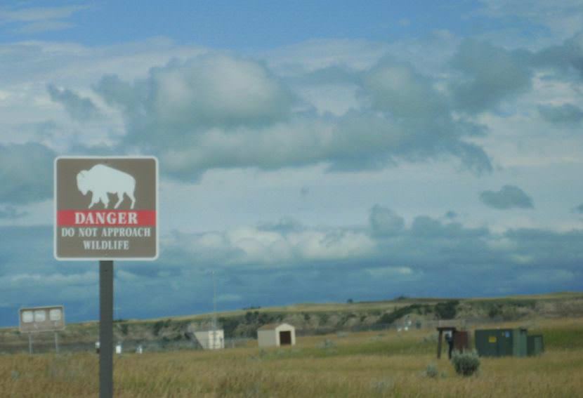 A sign at Theodore Roosevelt National Park in North Dakota warns against approaching wildlife. 