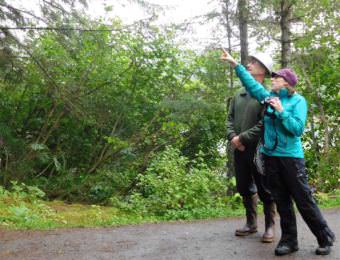 Forest Service Plant Pathologist Robin Mulvey points out infected spruce branches at Juneau's Shrine of St. Therese to shrine volunteer Brian Flory on July 11, 2017. (Photo by Ed Schoenfeld/ CoastAlaska News).