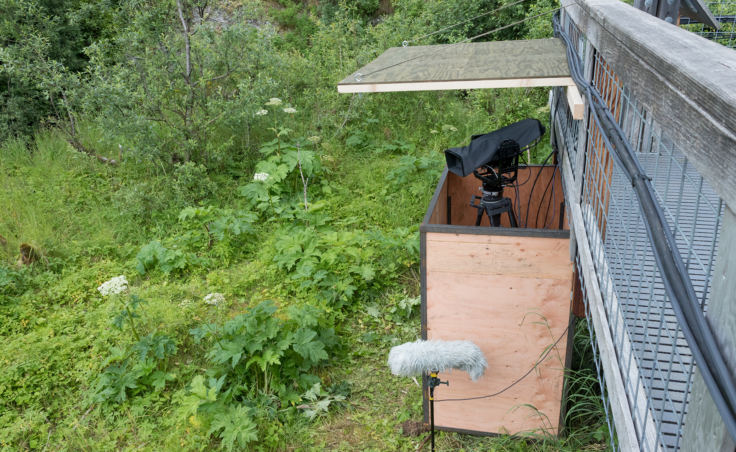 A remote controlled camera installed below a walkway at the Mendenhall Glacier Visitor Center bear viewing area. (Photo by Mikko Wilson/KTOO)