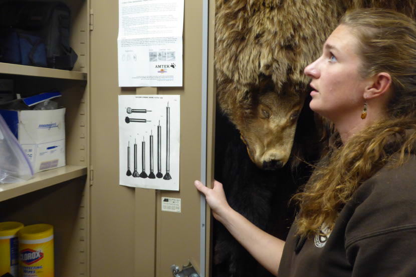 Biologist Stephanie Sell looks for electric fencing in a closet at the Fish and Game office on Douglas Island.