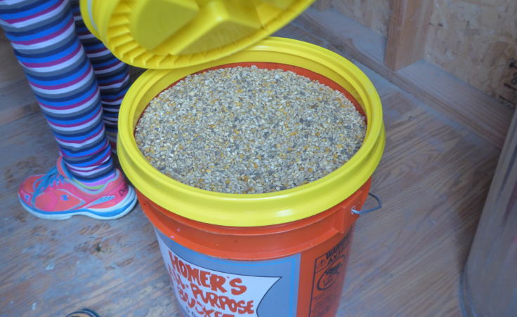 Chicken feed is stored in this bucket with a resealable lid.