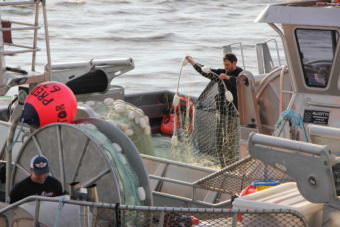 Fishermen at AGS in Egegik. (Photo by Nick Ciolino/KDLG)