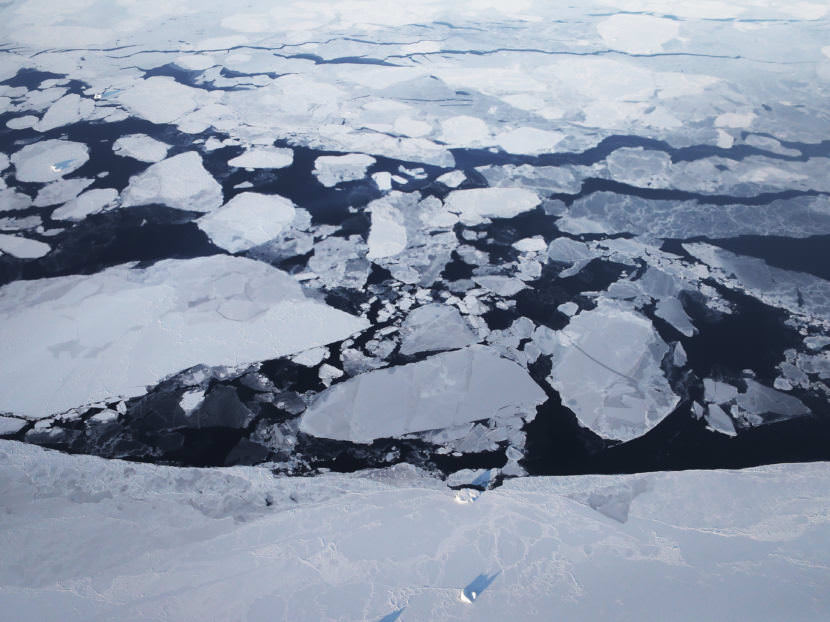 Arctic sea ice is seen from a NASA research aircraft on March 30, 2017, above Greenland. A top Interior Department scientist who tracks Arctic conditions says he was demoted by the Trump administration for speaking out on climate change.