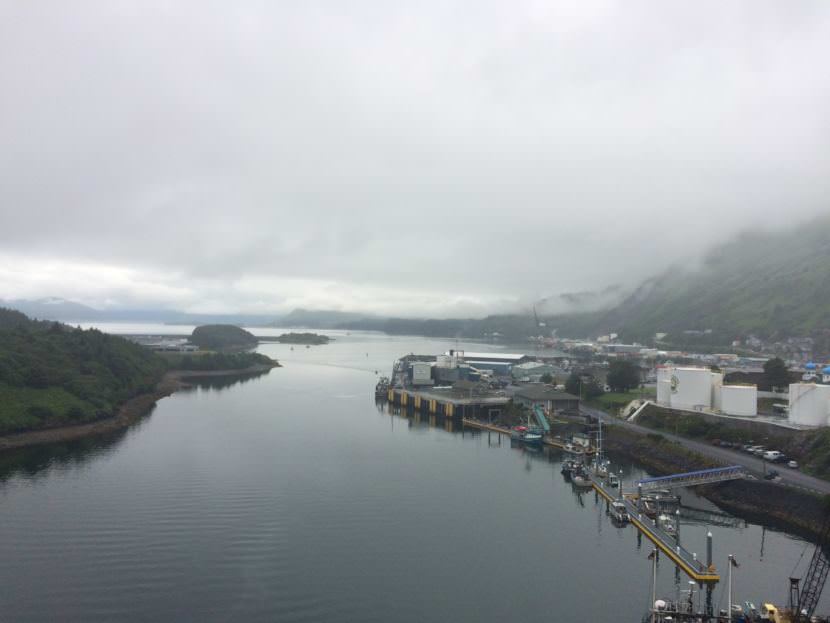 View from the Near Island Bridge. (Photo by Mitch Borden/KMXT)