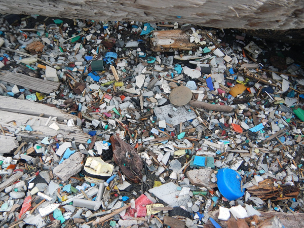 Crushed plastic debris on beach at Patton Bay, Montague Island. (Photo courtesy Chris Pallister)