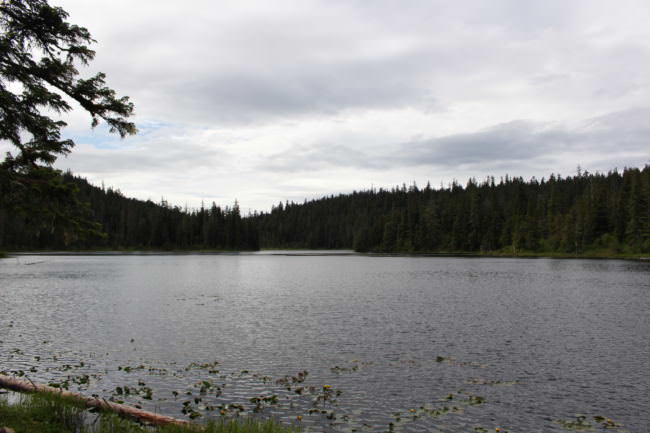 Auk'Tah Lake became Angoon's water source in the early 90s. Before that, the village relied on a muskeg for its public water. (Photo by Elizabeth Jenkins/Alaska's Energy Desk)