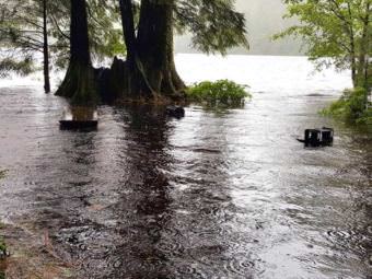 Flooding at Ketchikan’s Ward Lake Recreation Area. (Photo courtesy of Paul Robbins/U.S. Forest Service)
